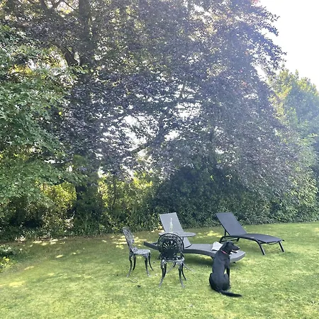 The Mount Somerton Retreat - Nr Bruton, Glastonbury, The Spectacular Wells Cathedral, Millfield School, Leonardo Helicopters, Yeovilton Extérieur photo