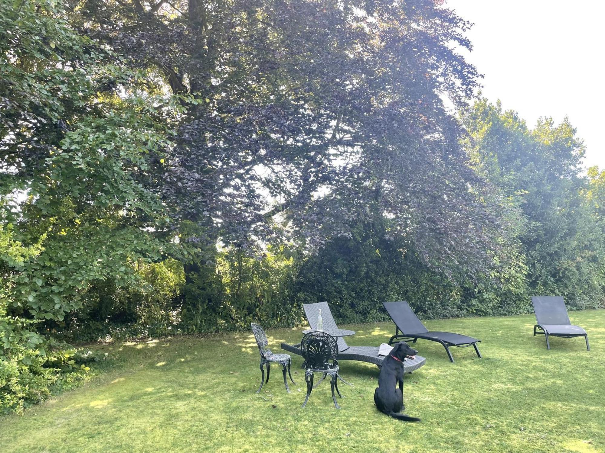 Apartment The Mount Somerton Retreat - Nr Bruton, Glastonbury, The Spectacular Wells Cathedral, Millfield School, Leonardo Helicopters, Yeovilton