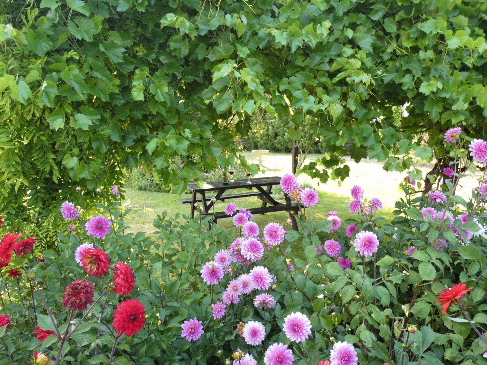 The Mount Somerton Retreat - Nr Bruton, Glastonbury, The Spectacular Wells Cathedral, Millfield School, Leonardo Helicopters, Yeovilton Somerton (Somerset)
